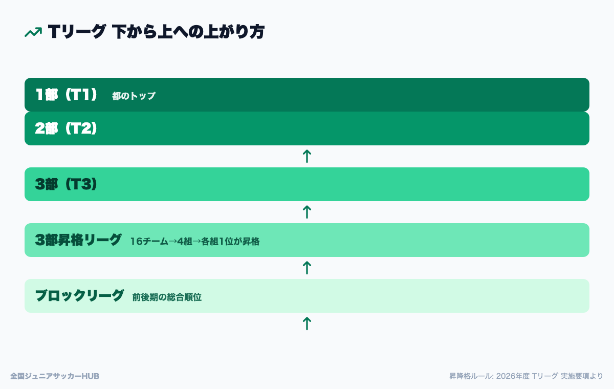 Tリーグの昇格の流れ:ブロックリーグから1部まで