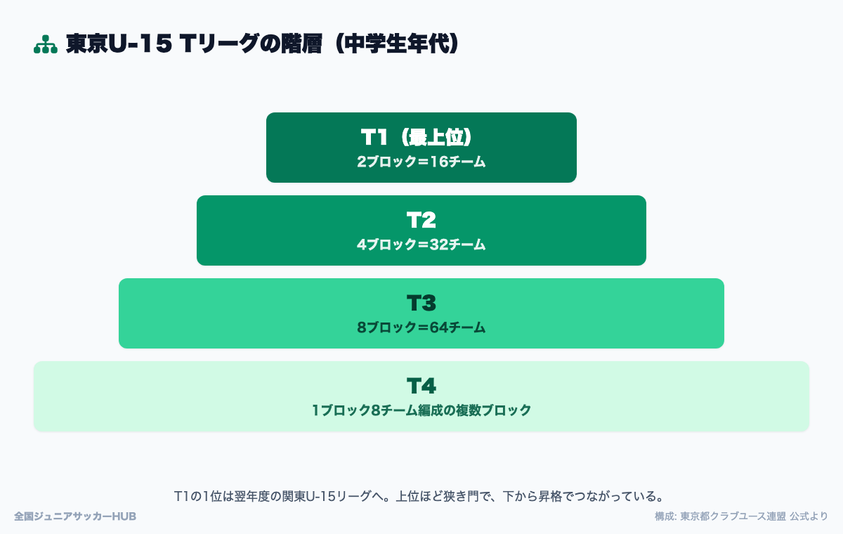 U-15 Tリーグのピラミッド構造:T1(2ブロック16)→T2(4ブロック32)→T3(8ブロック64)→T4(8チーム編成の複数ブロック)